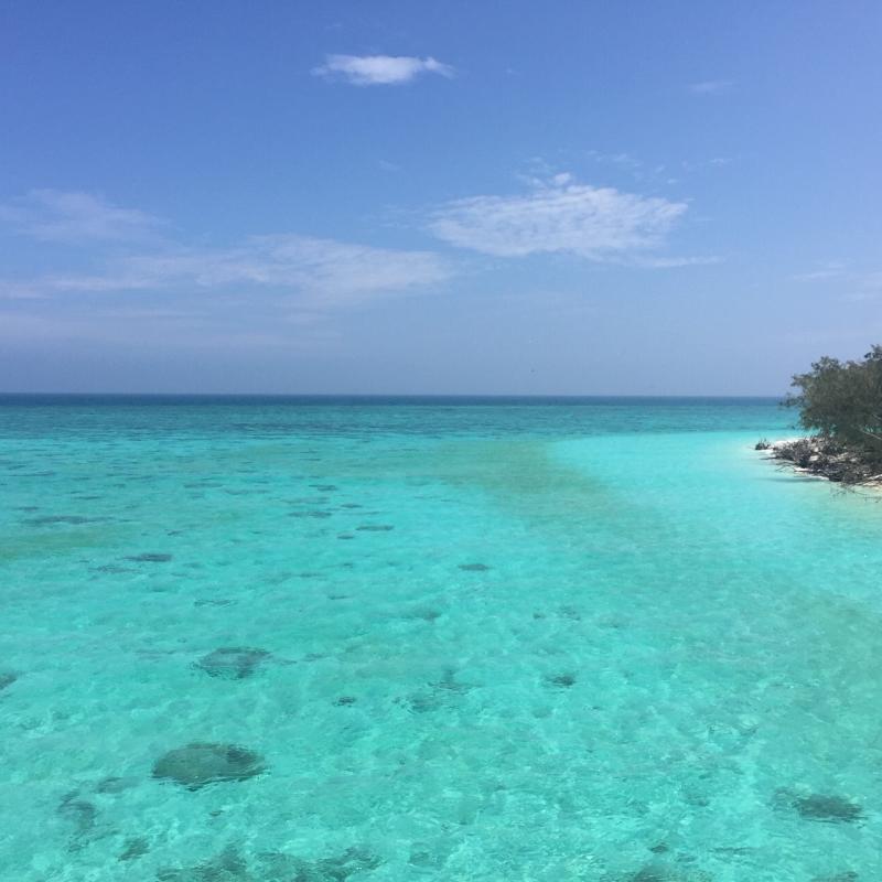 Coral Cay Great Barrier Reef